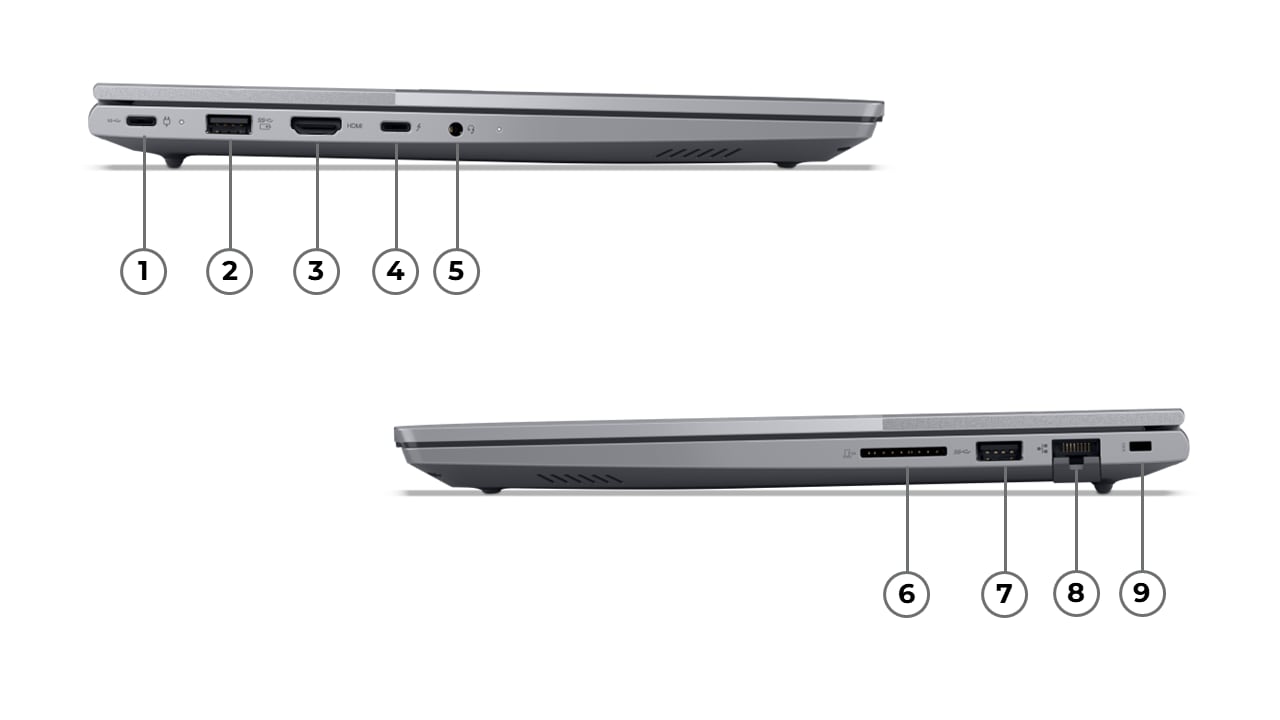 Beschreibung des Bildes